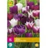 Tulipan 'Blueberry' Mix XXL Tulips 'Blueberry' Mix Blomsterløg, Antal Pr. Pakke, Ca. 15 Stk. -Osmo Salgsbutik p36207 50019 tulips blueberry mix 9a3c