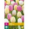 Tulipan 'Sorbet' Mix XXL Tulips 'Sorbet' Mix Blomsterløg, Antal Pr. Pakke, Ca. 15 Stk. 1 Tulipan 'Sorbet' Mix XXL Tulips 'Sorbet' Mix Blomsterløg, Antal Pr. Pakke, Ca. 15 Stk. -Osmo Salgsbutik p36231 50403 tulips sorbet mix 56a4
