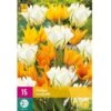 Tulipan 'Sunbath' Mix XXL Tulips 'Sunbath' Mix Blomsterløg, Antal Pr. Pakke, Ca. 15 Stk. 1 Tulipan 'Sunbath' Mix XXL Tulips 'Sunbath' Mix Blomsterløg, Antal Pr. Pakke, Ca. 15 Stk. -Osmo Salgsbutik p36235 50419 tulips sunbath mix af36