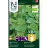Citronmelisse 'Lemona' Øko Melissa Officinalis L. 'Lemona' 1 Citronmelisse 'Lemona' Øko Melissa Officinalis L. 'Lemona' -Osmo Salgsbutik p36918 43135 image 02f4