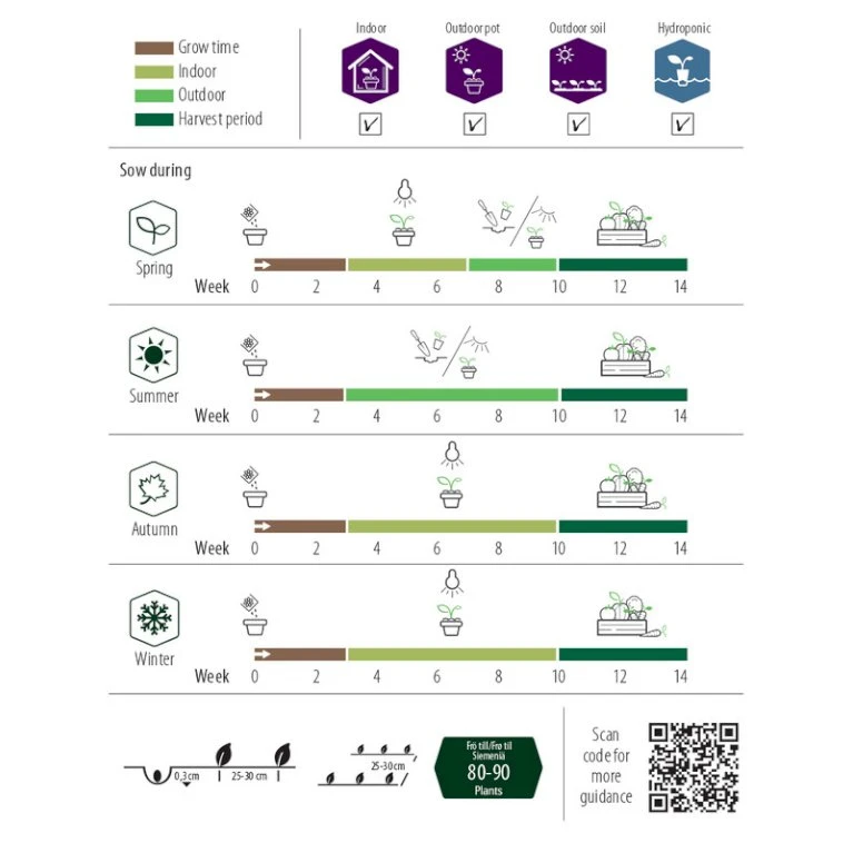 Citronmelisse 'Lemona' Øko Melissa Officinalis L. 'Lemona' 3 Citronmelisse 'Lemona' Øko Melissa Officinalis L. 'Lemona' - Billede 2