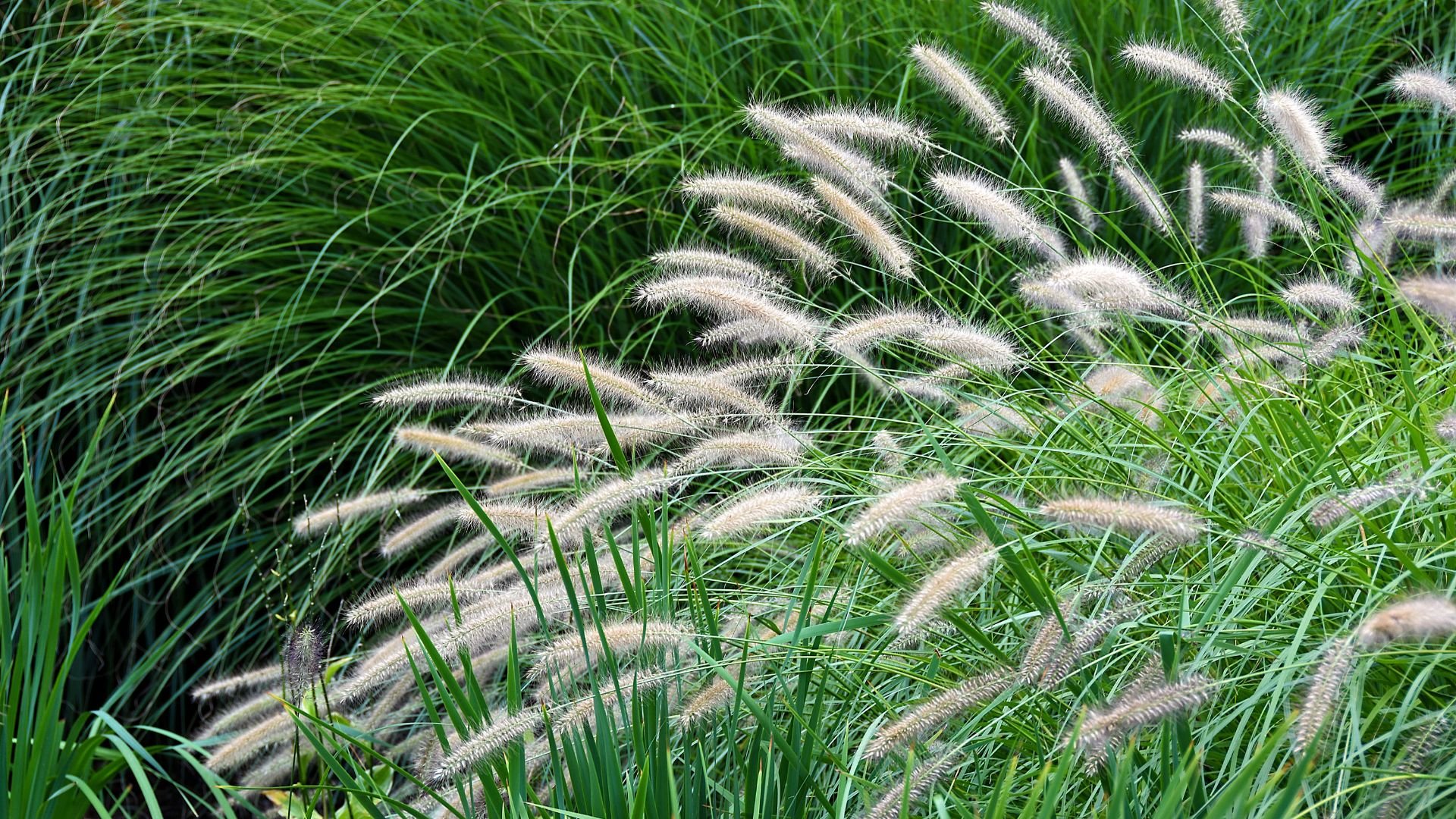 Osmo Salgsbutik -Osmo Salgsbutik 491 Billeder i mails og artikler 1920 × 1080px 61